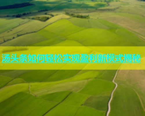 汤头条如何轻松实现盈利新模式揭秘  第1张