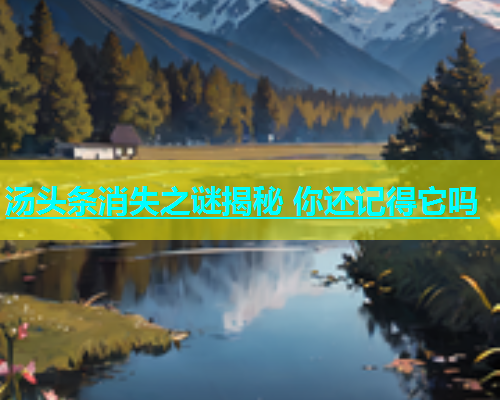 汤头条消失之谜揭秘 你还记得它吗  第1张