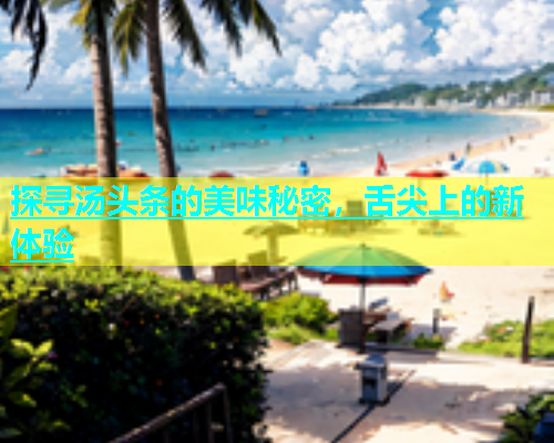探寻汤头条的美味秘密，舌尖上的新体验  第1张
