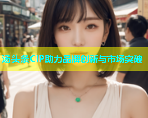 汤头条CIP助力品牌创新与市场突破