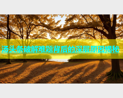 汤头条破解难题背后的深层原因揭秘  第1张
