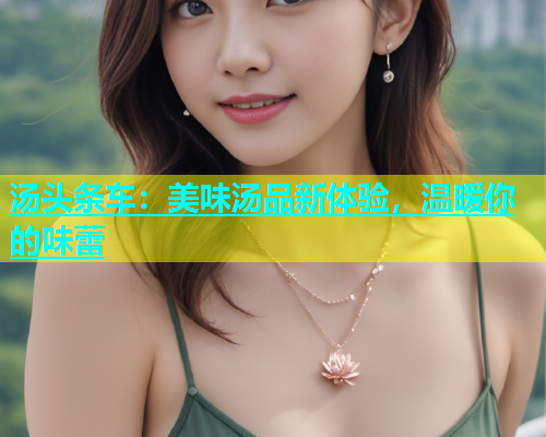 汤头条车：美味汤品新体验，温暖你的味蕾  第1张