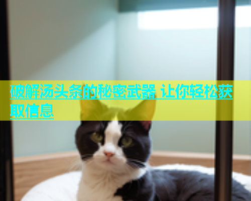 破解汤头条的秘密武器 让你轻松获取信息
