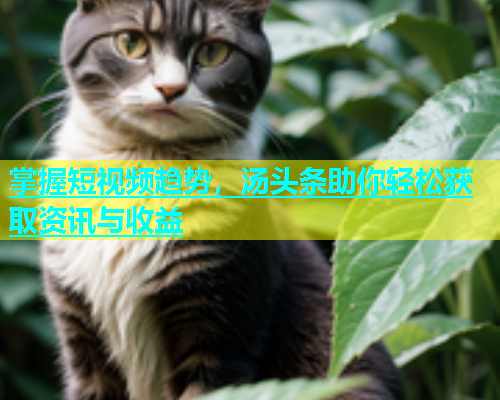 掌握短视频趋势，汤头条助你轻松获取资讯与收益  第1张