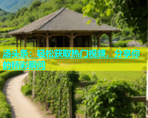汤头条：轻松获取热门视频，分享你的精彩瞬间