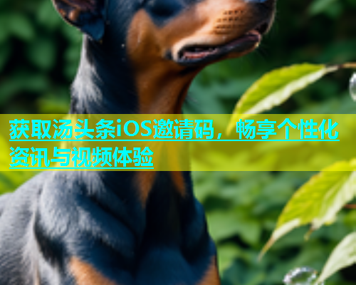 获取汤头条iOS邀请码，畅享个性化资讯与视频体验