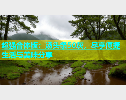 超强合体版：汤头条50灰，尽享便捷生活与美味分享  第1张