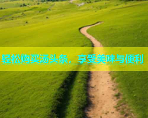 轻松购买汤头条，享受美味与便利  第2张