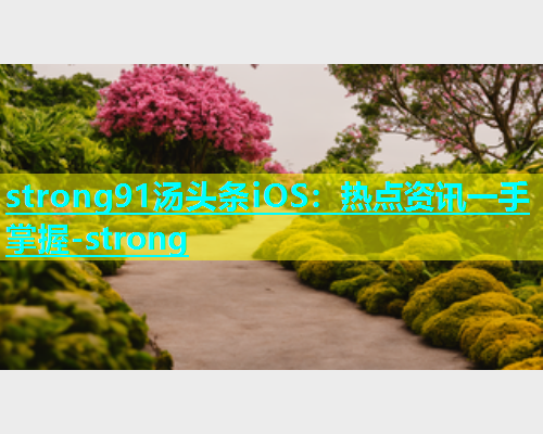 strong91汤头条iOS：热点资讯一手掌握-strong