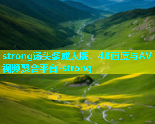 strong汤头条成人版：4K画质与AV视频聚合平台-strong