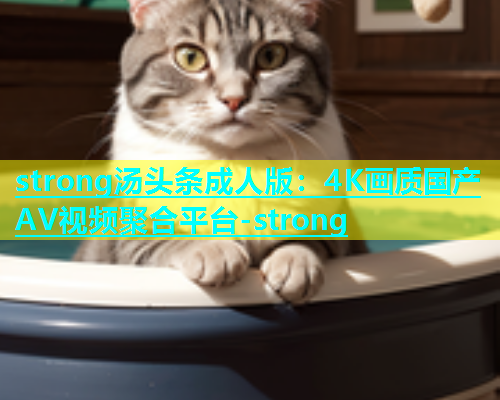 strong汤头条成人版：4K画质国产AV视频聚合平台-strong  第1张