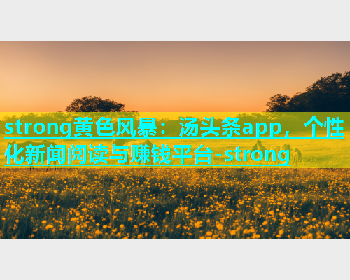 strong黄色风暴：汤头条app，个性化新闻阅读与赚钱平台-strong  第2张