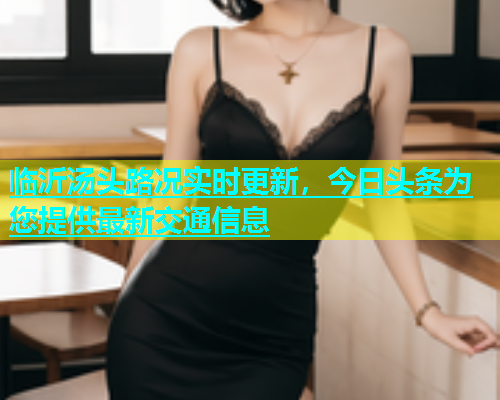 临沂汤头路况实时更新，今日头条为您提供最新交通信息