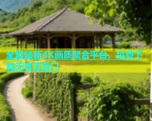 全网最新4K画质聚合平台，免费下载无毒无后门  第2张