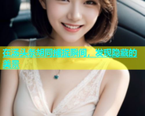 在汤头条胡同捕捉瞬间，发现隐藏的美景  第2张