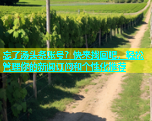 忘了汤头条账号？快来找回吧，轻松管理你的新闻订阅和个性化推荐