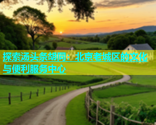 探索汤头条胡同：北京老城区的文化与便利服务中心