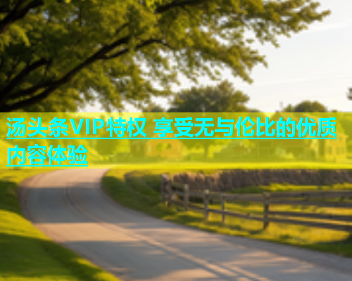 汤头条VIP特权 享受无与伦比的优质内容体验  第2张